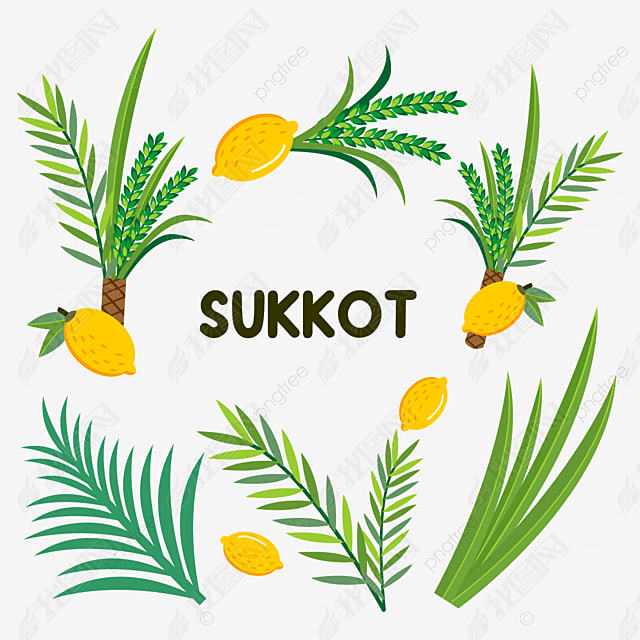 sukkot beautiful holiday plant pattern