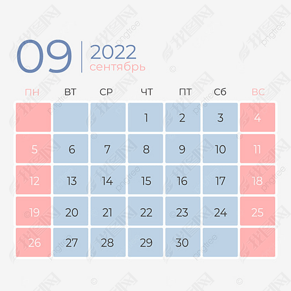 20229