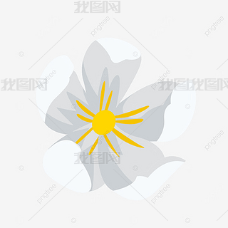百合花花骨朵白色