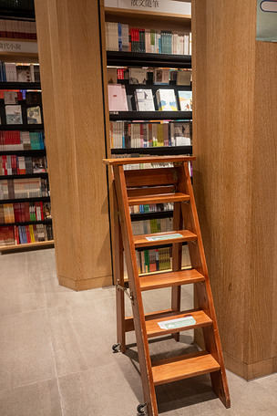 书店图书馆梯子