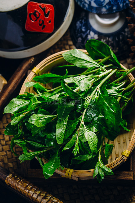 枸杞叶美食食材