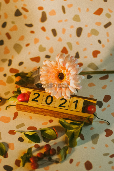 文艺2021数字 牛年