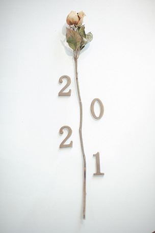 数字2021 数字521