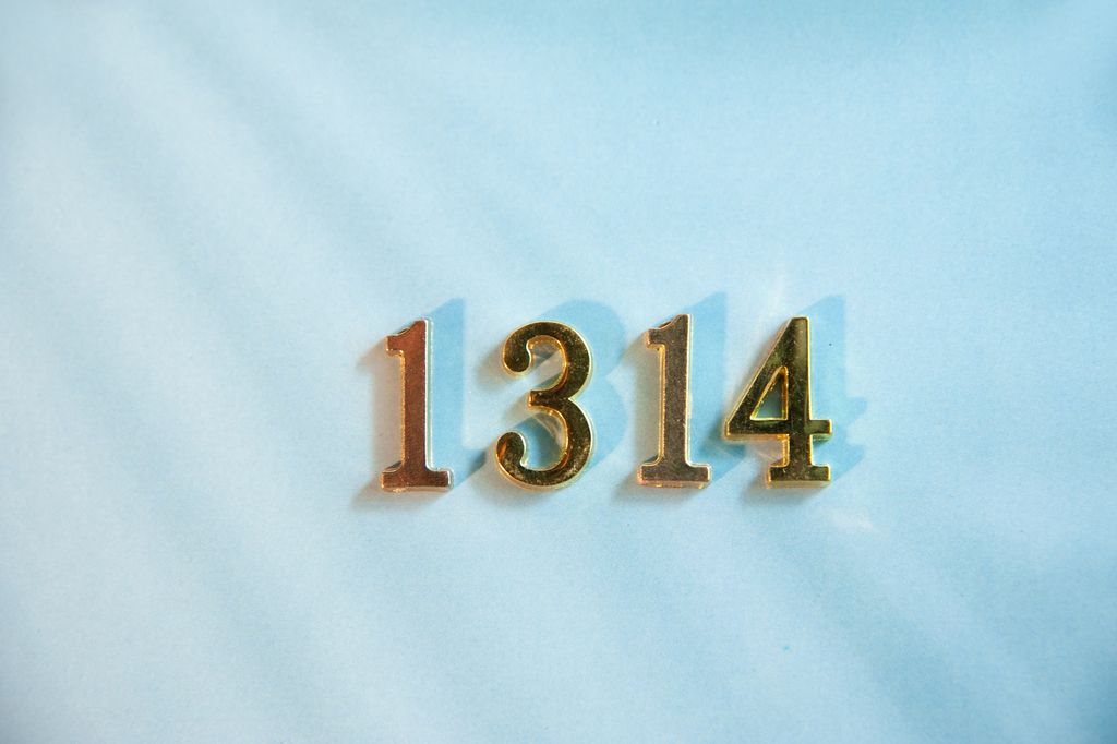 数字1314