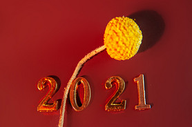 ɫ2021