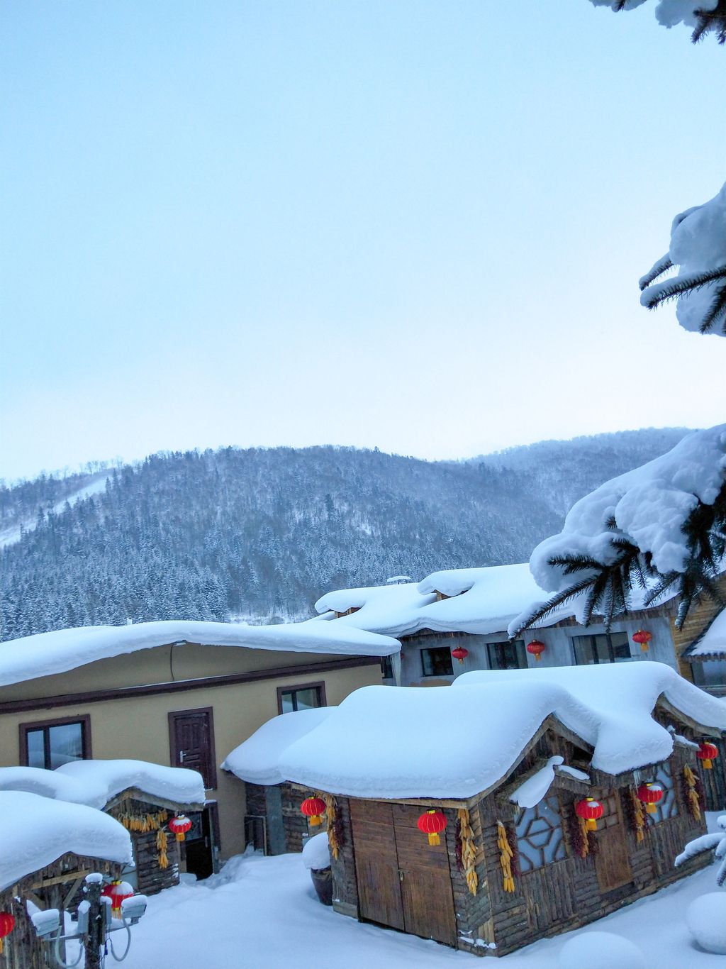 26823447商业用途发布日期:2020-12-22 09:30:40原创冬季雪乡-版权可