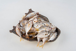 海鲜水产油叶鱼