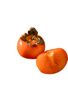 柿子免抠专题模板-柿子免抠图片素材下载-我图网