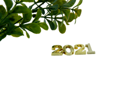 2021ʥԪ