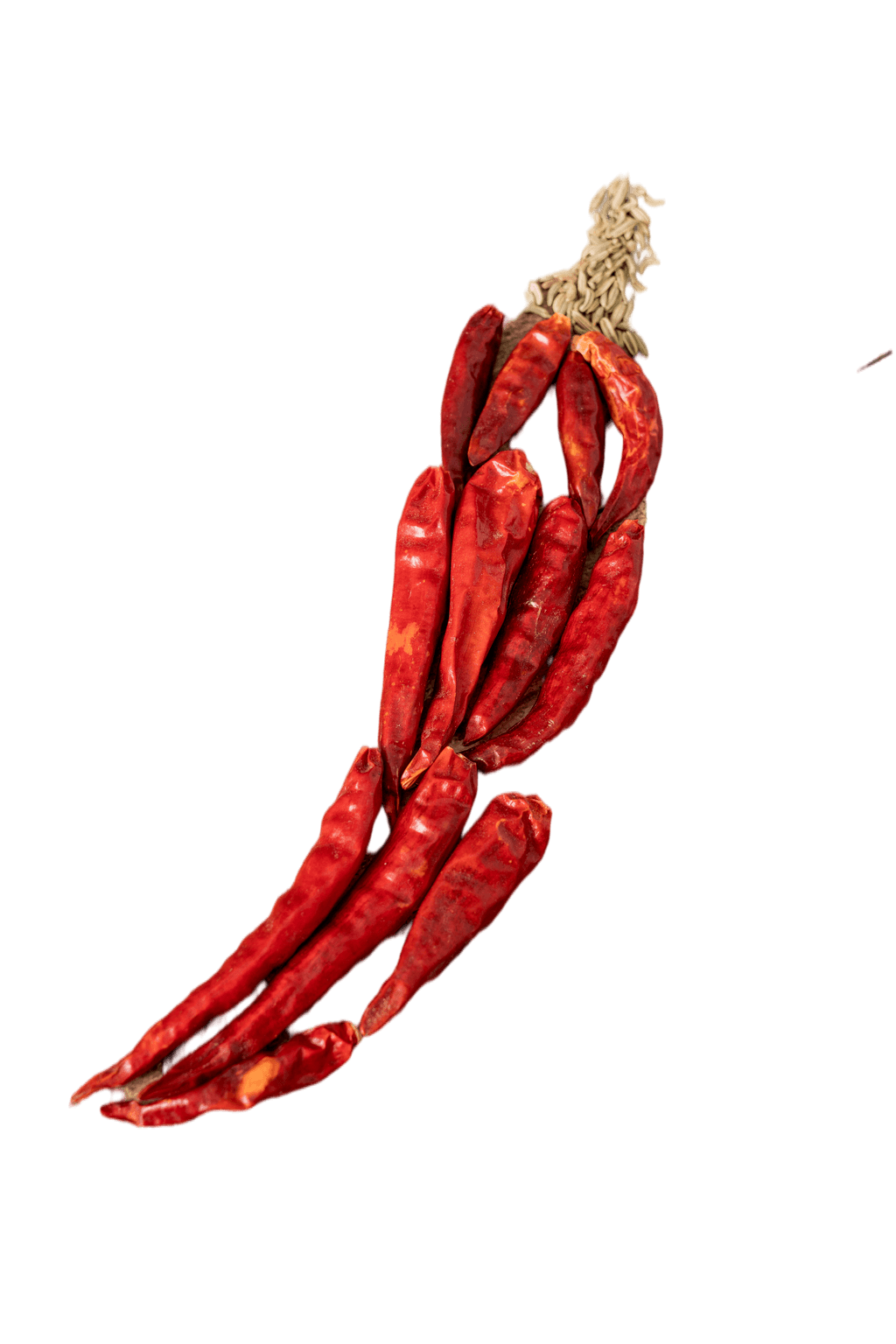 干辣椒创意摆拍免抠元素