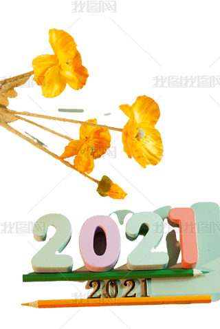 ָͼ2021 520 1314Ԫ