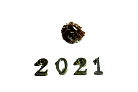 ɫ2021Ԫ