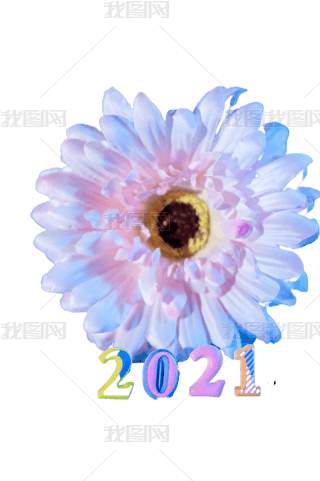 2021 521Ԫ