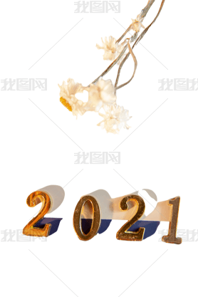 ײɫ2021Ԫ