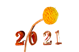 ɫ2021Ԫ