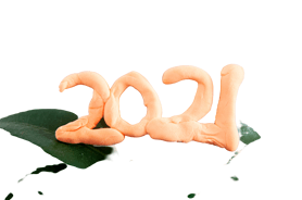 2021Ԫ