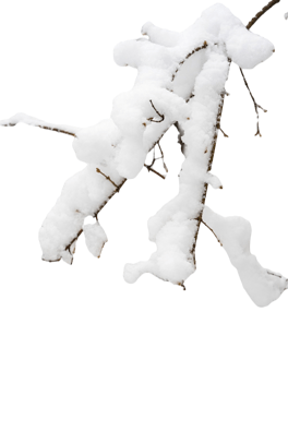 冬日大雪雪景免抠元素