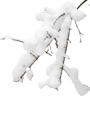 冬日大雪雪景免抠元素