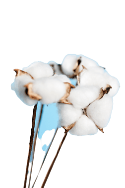 蓝色背景上的棉花背景图免抠元素