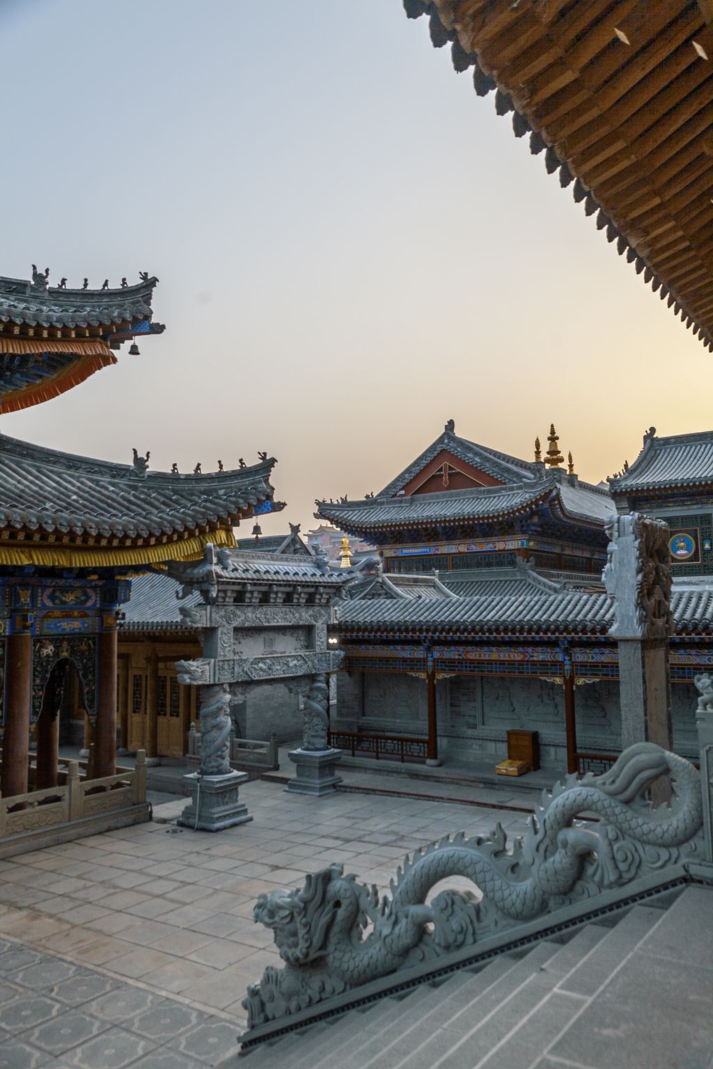 五台山寺庙古建筑广化寺灿烂夜景佛猫黄昏