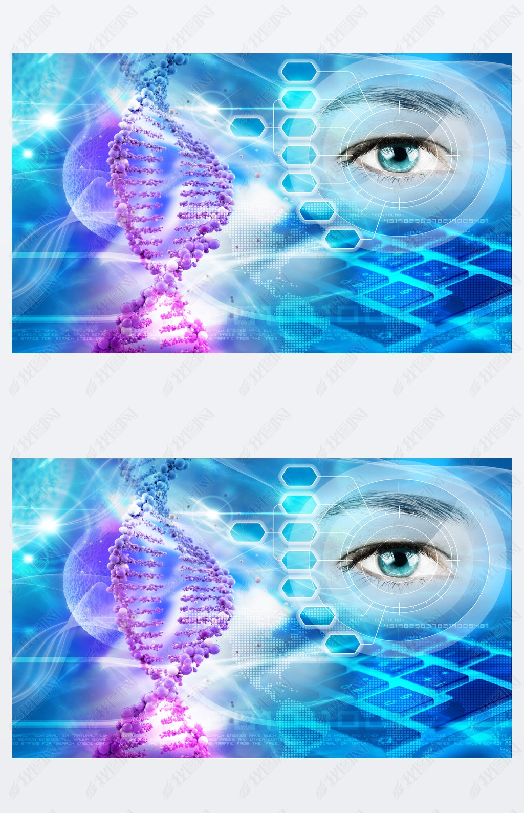 Dna ṹڳɫ