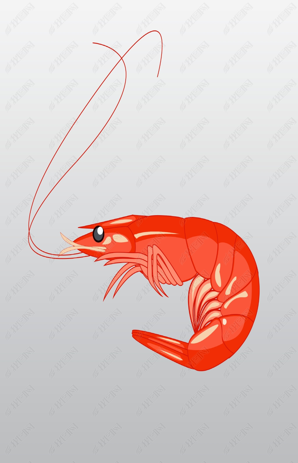 原创手绘卡通红色的虾插画