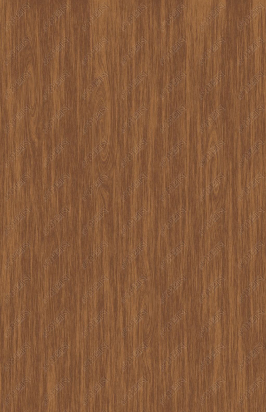 手绘木纹卡通插画