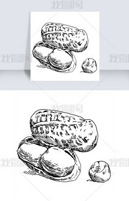 原创线描花生手绘插画