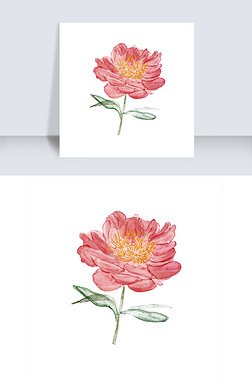 手绘水彩红色牡丹花