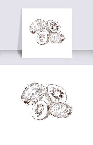 原创手绘线描猕猴桃插画版权可商用