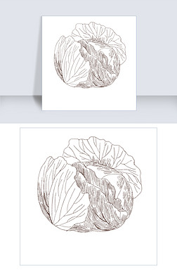 线描食材免抠元素|手绘线描花菜插画