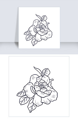 写实素描线条国花牡丹