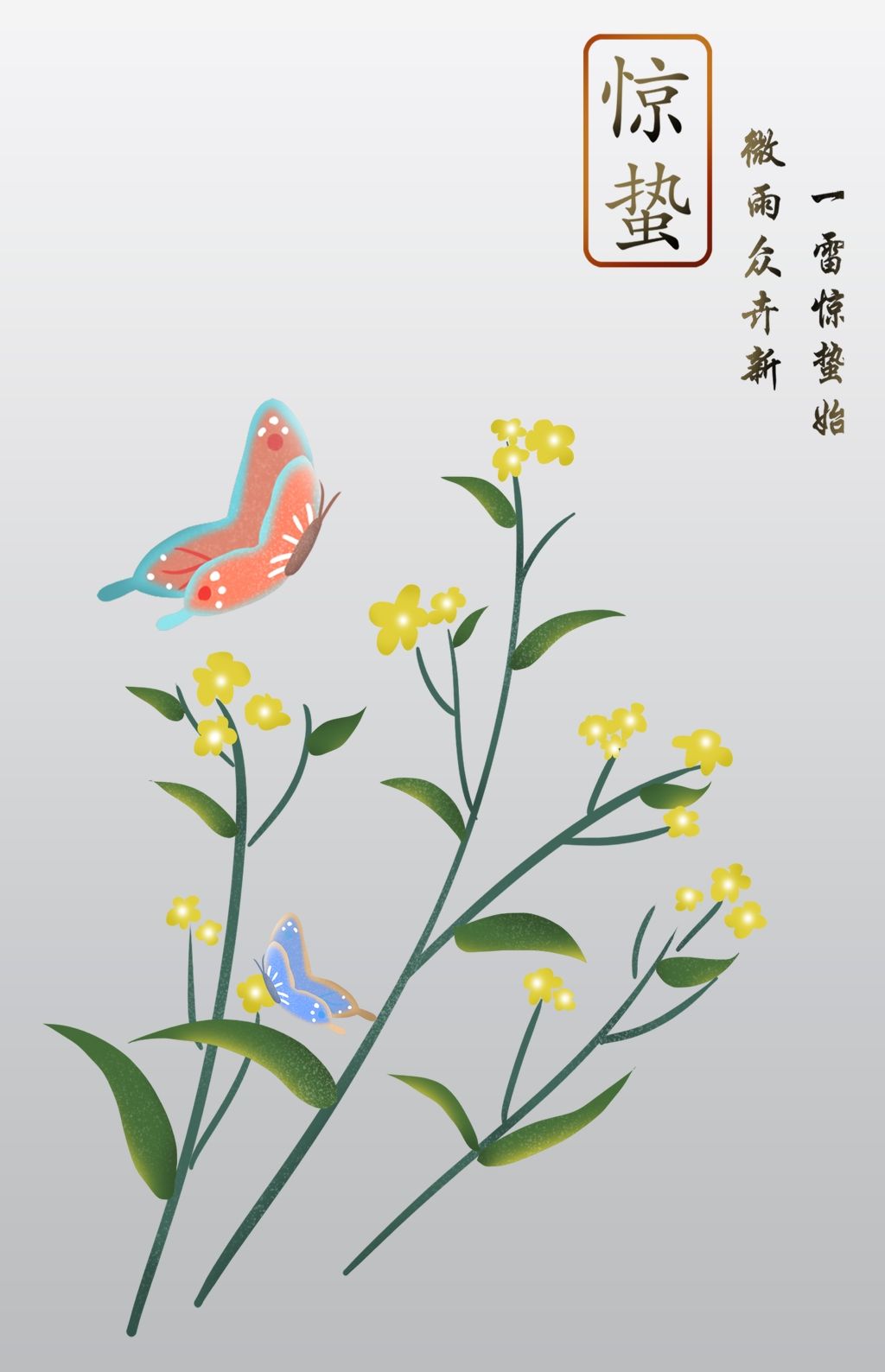 惊蛰春天二十四节气油菜花与蝴蝶飞