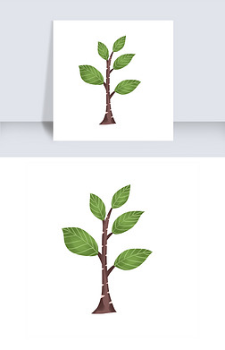 手绘不知名的大叶树