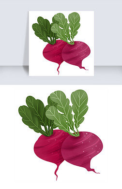 萝卜生长免抠元素|萝卜装饰画自然生长蔬菜