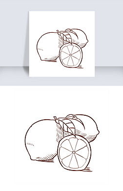 手绘线描柠檬插画