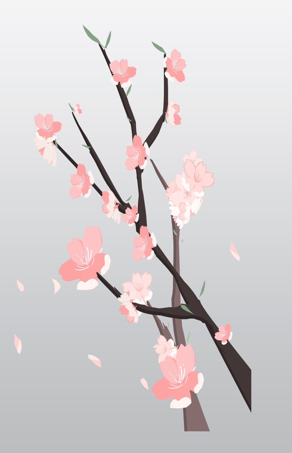 飘落樱花树枝插画