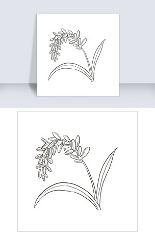 速写风黑白水稻png