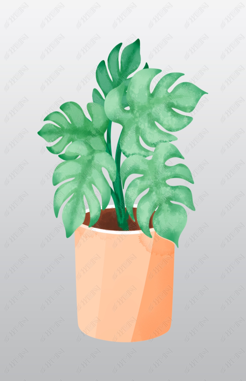 手绘多肉盆栽插画