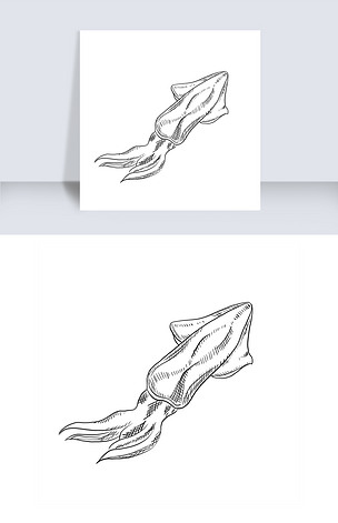 小墨鱼手绘黑白素材