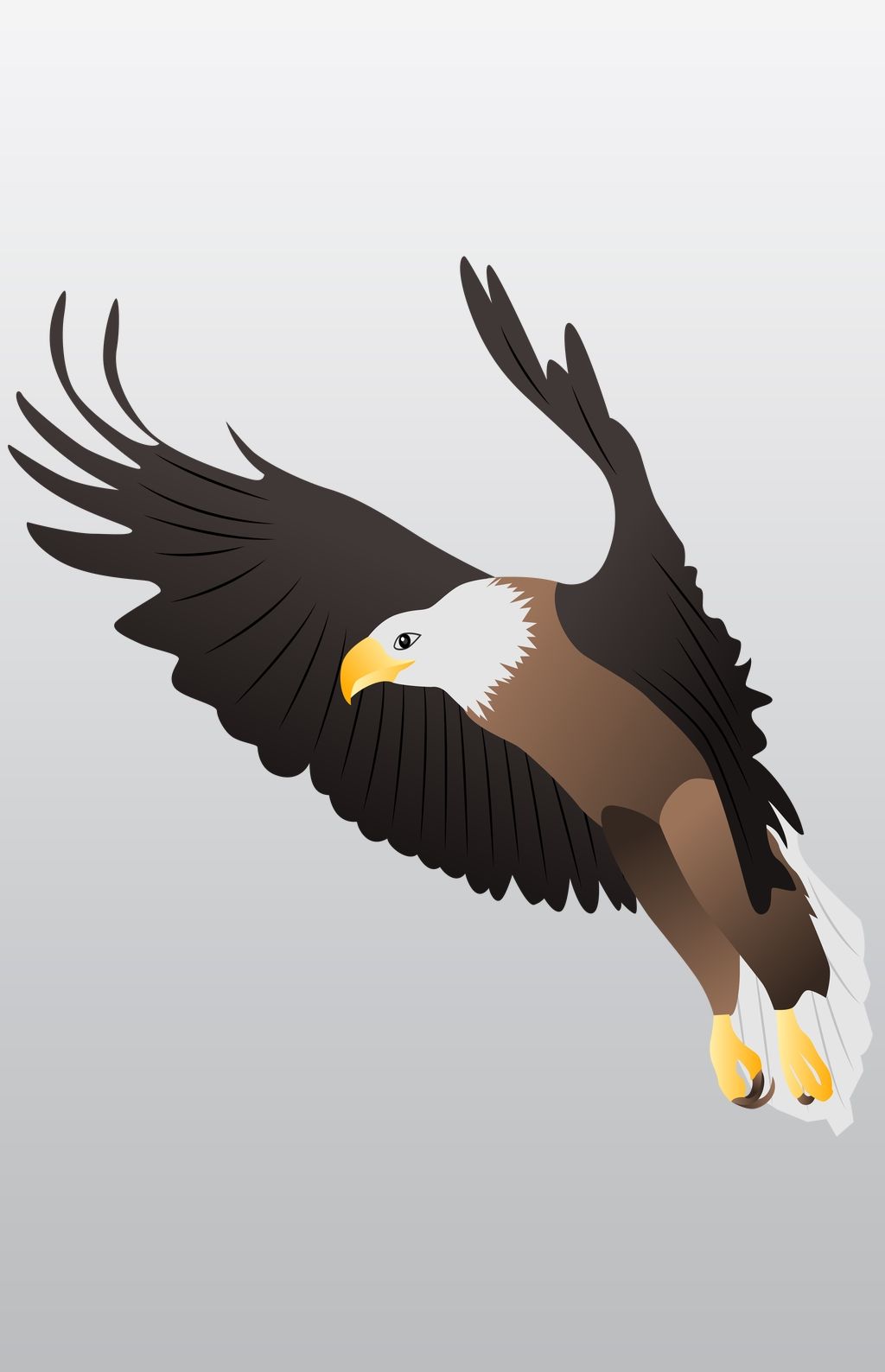 矢量手绘卡通老鹰