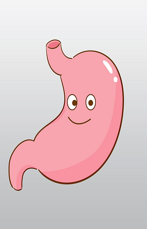 手绘人体器官胃插画