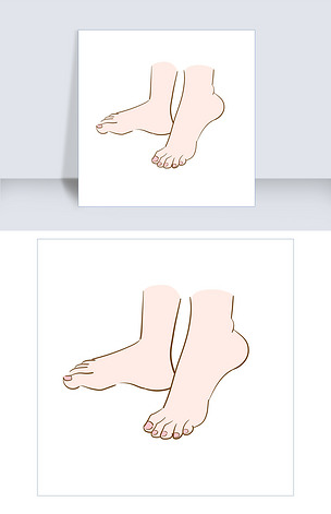 原创手绘人体器官脚插画