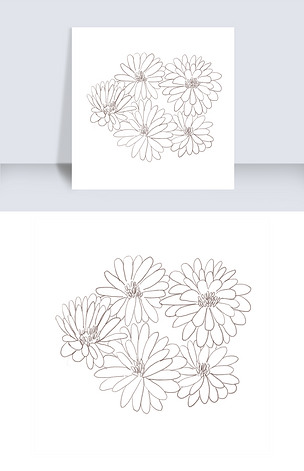 荷兰菊线描手绘插画