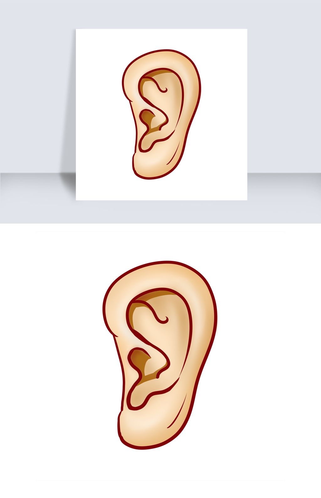 原创卡通人体器官耳朵版权可商用