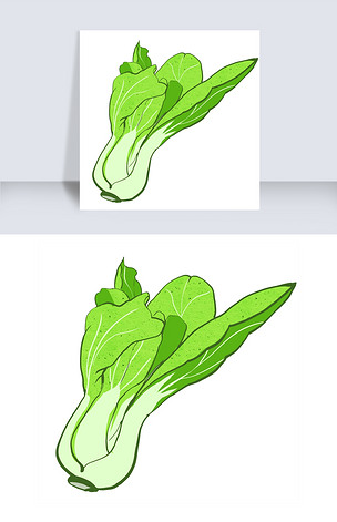 手绘卡通手绘青菜