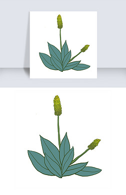 卡通绿色狗尾巴草免抠图