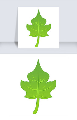 一片新鲜的叶子免抠图