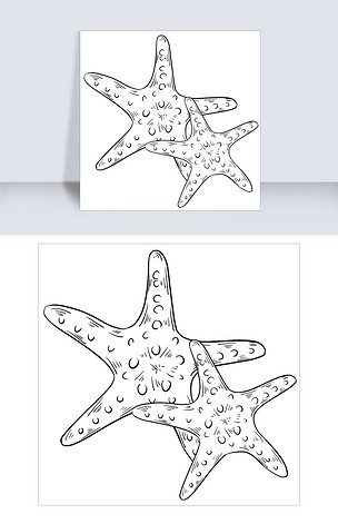 线描海星手绘插画