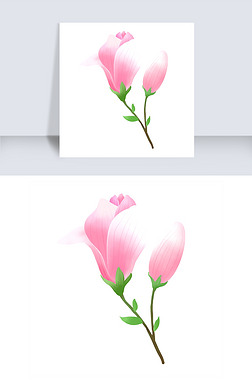 手绘花卉小清新粉色百合花